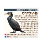 架空鳥空の生き物図鑑（個別スタンプ：30）