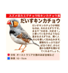 架空鳥空の生き物図鑑（個別スタンプ：32）