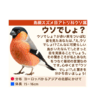 架空鳥空の生き物図鑑（個別スタンプ：33）