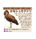 架空鳥空の生き物図鑑（個別スタンプ：37）