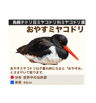架空鳥空の生き物図鑑（個別スタンプ：38）