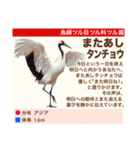 架空鳥空の生き物図鑑（個別スタンプ：40）