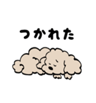 かわいい犬の使えるスタンプ（個別スタンプ：19）