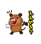 関西弁のヌートリアのヌーやん（個別スタンプ：15）
