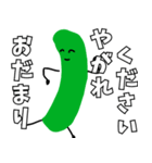 きゅうりとピクルスの日常会話（個別スタンプ：3）