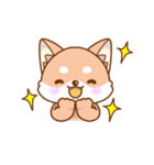 柴犬の柴（個別スタンプ：1）