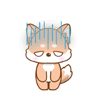 柴犬の柴（個別スタンプ：16）