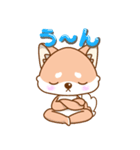 柴犬の柴（個別スタンプ：17）