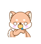 柴犬の柴（個別スタンプ：24）