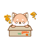 柴犬の柴（個別スタンプ：32）