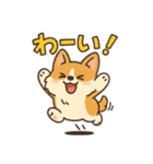 ふわもこコーギーの日常スタンプ（個別スタンプ：4）
