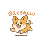 ふわもこコーギーの日常スタンプ（個別スタンプ：5）