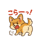 ふわもこコーギーの日常スタンプ（個別スタンプ：11）