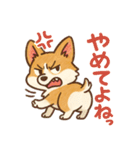 ふわもこコーギーの日常スタンプ（個別スタンプ：12）