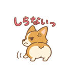 ふわもこコーギーの日常スタンプ（個別スタンプ：13）