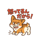 ふわもこコーギーの日常スタンプ（個別スタンプ：15）