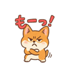 ふわもこコーギーの日常スタンプ（個別スタンプ：16）
