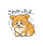 ふわもこコーギーの日常スタンプ（個別スタンプ：24）