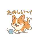 ふわもこコーギーの日常スタンプ（個別スタンプ：25）