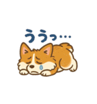 ふわもこコーギーの日常スタンプ（個別スタンプ：34）