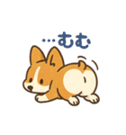 ふわもこコーギーの日常スタンプ（個別スタンプ：36）