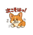 ふわもこコーギーの日常スタンプ（個別スタンプ：37）