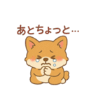 ふわもこコーギーの日常スタンプ（個別スタンプ：40）