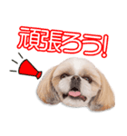 石家の愛楽ちゃん2（個別スタンプ：4）