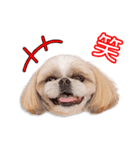 石家の愛楽ちゃん2（個別スタンプ：5）