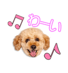 早瀬家のびすけちゃん（個別スタンプ：6）