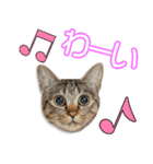 下釜家の露ちゃん（個別スタンプ：6）