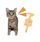 下釜家の露ちゃん（個別スタンプ：7）