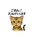 ベンガル猫 文字無しあり 日本語（個別スタンプ：3）