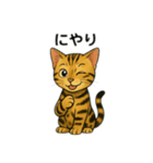 ベンガル猫 文字無しあり 日本語（個別スタンプ：10）