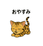 ベンガル猫 文字無しあり 日本語（個別スタンプ：12）