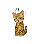 ベンガル猫 文字無しあり 日本語（個別スタンプ：18）