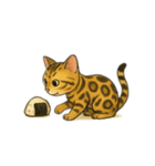 ベンガル猫 文字無しあり 日本語（個別スタンプ：20）