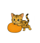 ベンガル猫 文字無しあり 日本語（個別スタンプ：21）
