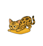 ベンガル猫 文字無しあり 日本語（個別スタンプ：22）