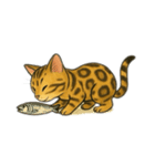 ベンガル猫 文字無しあり 日本語（個別スタンプ：23）