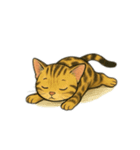 ベンガル猫 文字無しあり 日本語（個別スタンプ：24）