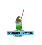 happiness88（個別スタンプ：8）