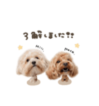 モカくん☆ミルくんdeformation（個別スタンプ：1）