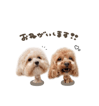 モカくん☆ミルくんdeformation（個別スタンプ：4）