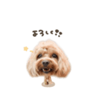 モカくん☆ミルくんdeformation（個別スタンプ：6）