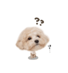 モカくん☆ミルくんdeformation（個別スタンプ：8）