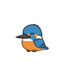 カワセミン（挨拶 文字無し①）（個別スタンプ：2）