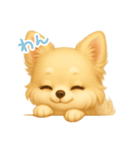 わんで伝えるチワワ JP（個別スタンプ：6）