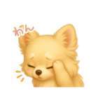わんで伝えるチワワ JP（個別スタンプ：10）