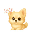 わんで伝えるチワワ TW（個別スタンプ：1）